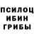 Псилоцибиновые грибы прущие грибы CultureOfDrive