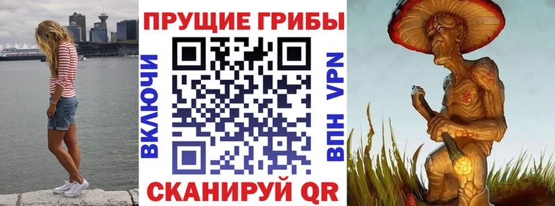 хочу наркоту Кола Псилоцибиновые грибы ЛСД